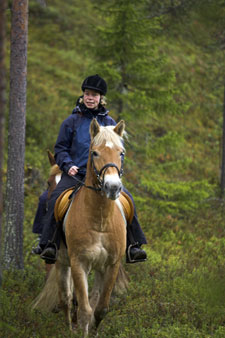 Finland-Finland-Lapland Posio Trail